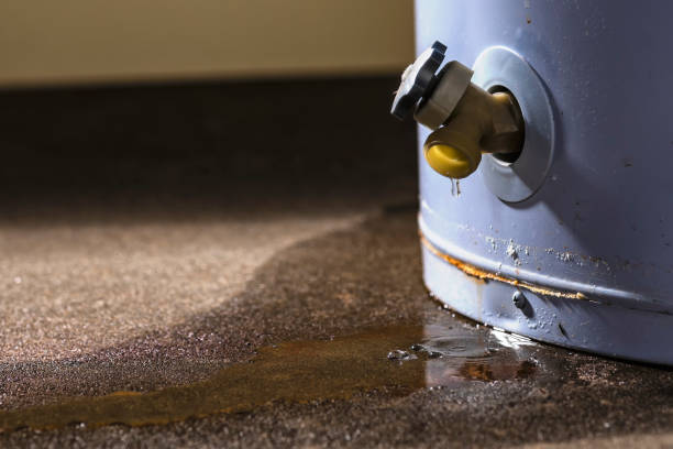 Best Water damage contractors near me  in Pulaski, WI