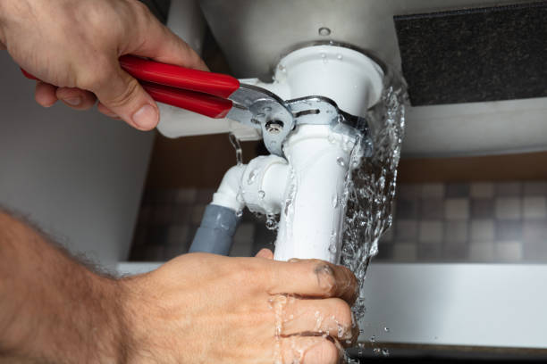 Best Ceiling water damage repair  in Pulaski, WI