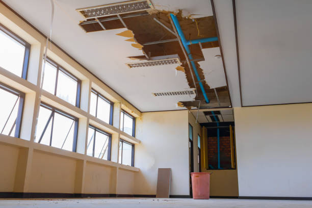 Best Flood restoration services  in Pulaski, WI