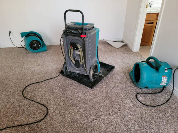 Best Mold removal after water damage  in Pulaski, WI