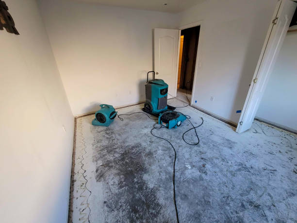 Best Flood damage cleanup  in Pulaski, WI