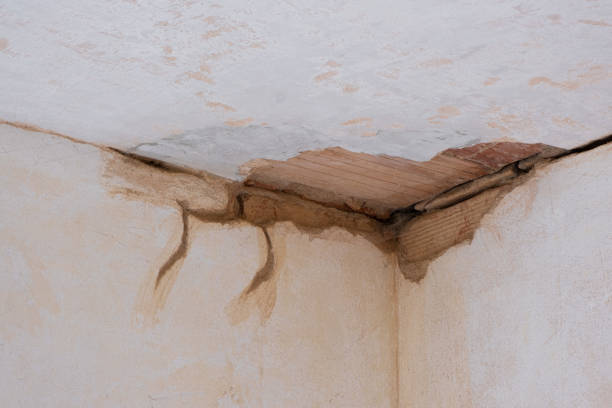 Water damage restoration mold remediation in WI