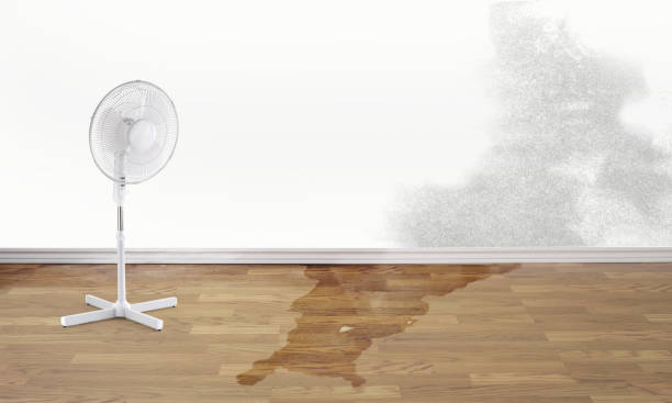 Best Local water damage restoration  in Pulaski, WI