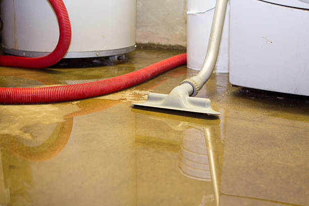 Best Water damage restoration near me  in Pulaski, WI