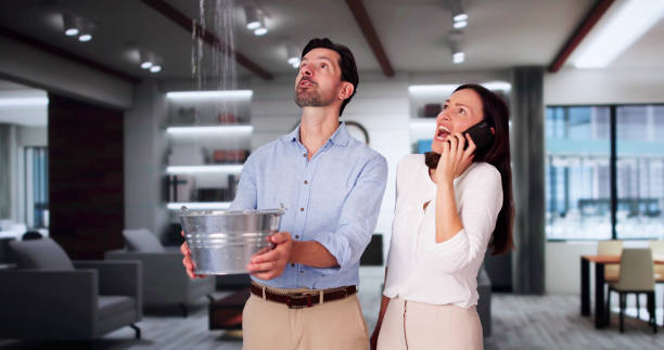 Best Water damage contractors near me  in Pulaski, WI