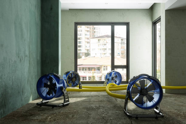 Water damage restoration experts in WI